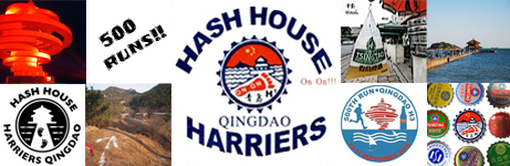 QDH3 Hash special logo banner
